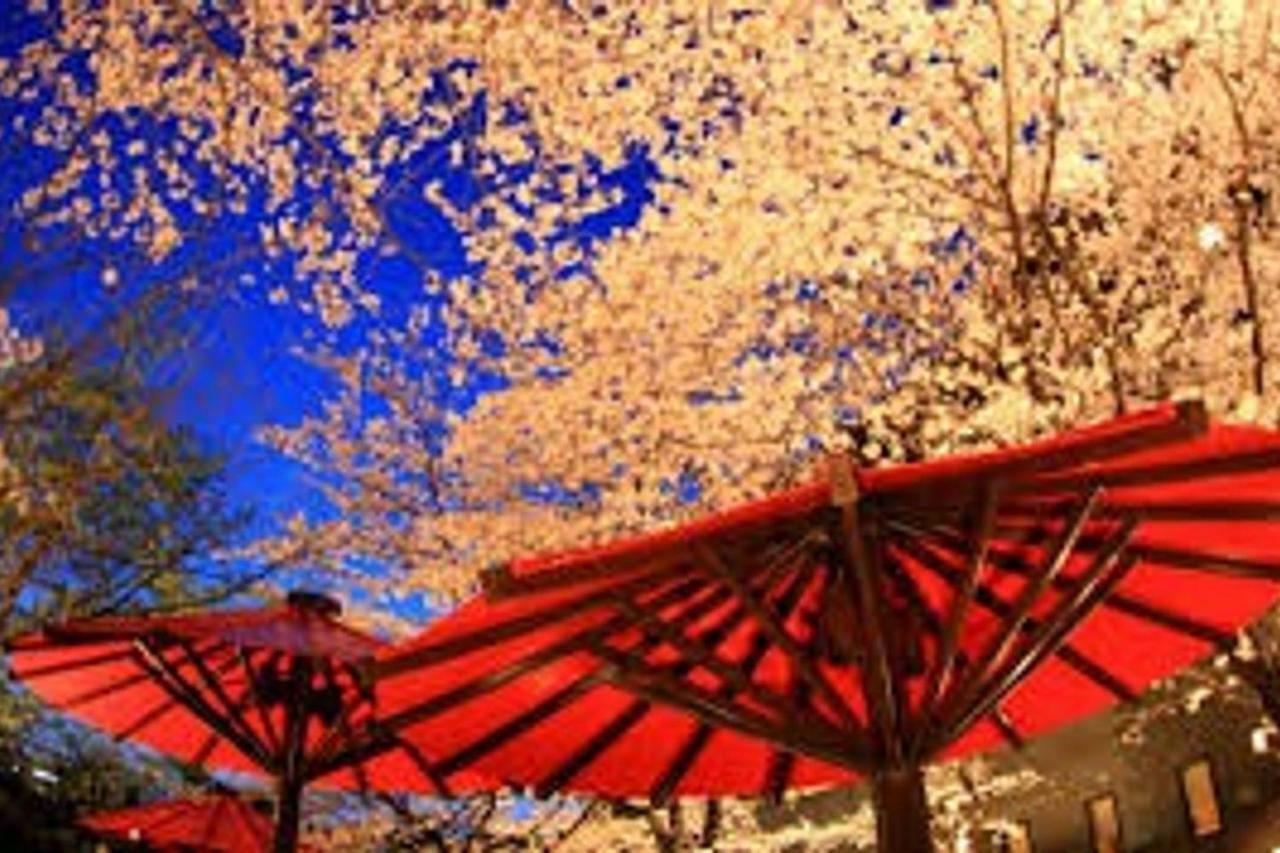 Close To Golden Temple 金閣寺