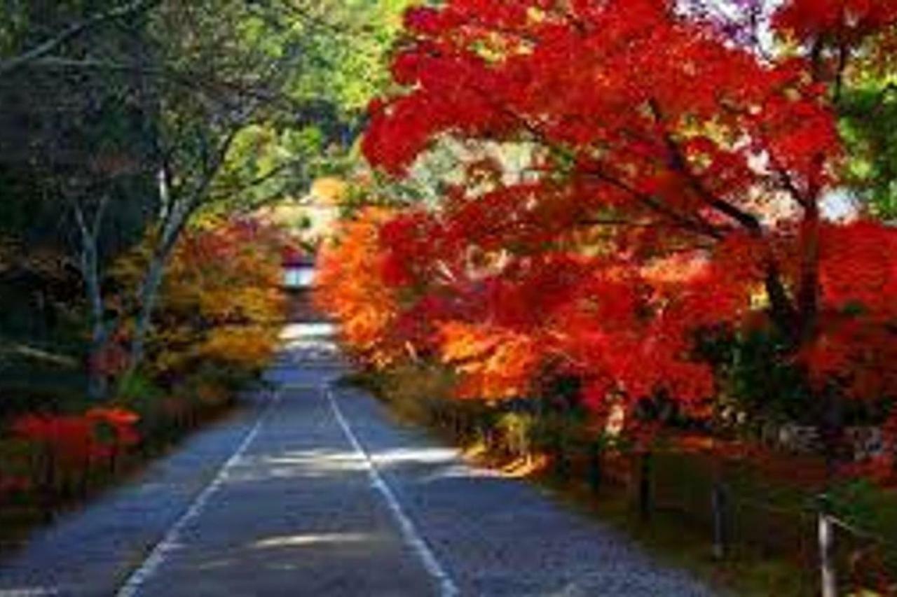 Close To Golden Temple 金閣寺 * 京都市