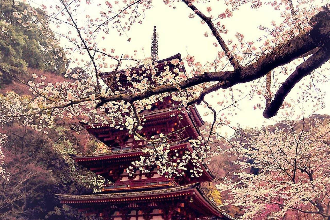 Close To Golden Temple 金閣寺 アパート